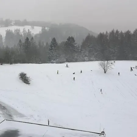 Harz-fewo Ky487 Lejlighed Braunlage