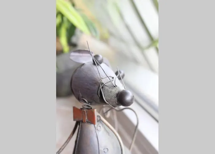 Daire Harz-fewo Ky487 *