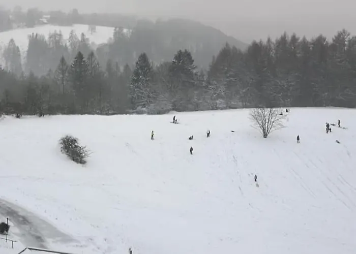 Harz-fewo Ky487 Daire Braunlage